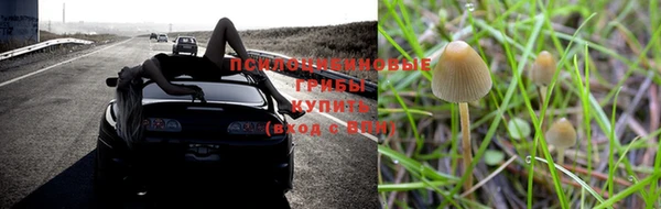 спиды Алексеевка