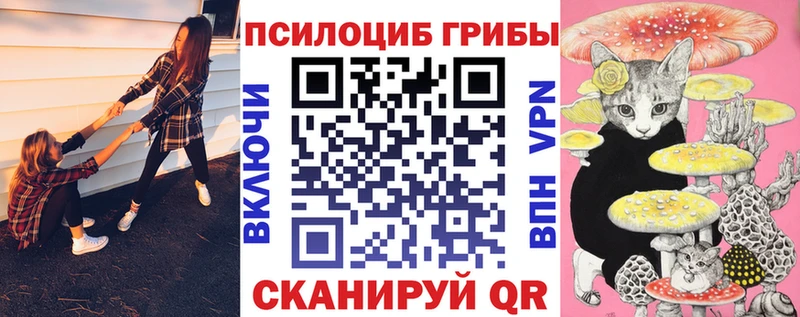 наркотики kraken рабочий сайт Псилоцибиновые грибы Magic Shrooms Югорск