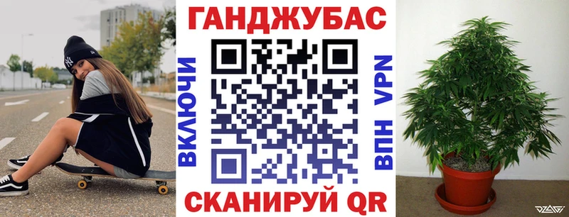 Каннабис гибрид  Югорск 